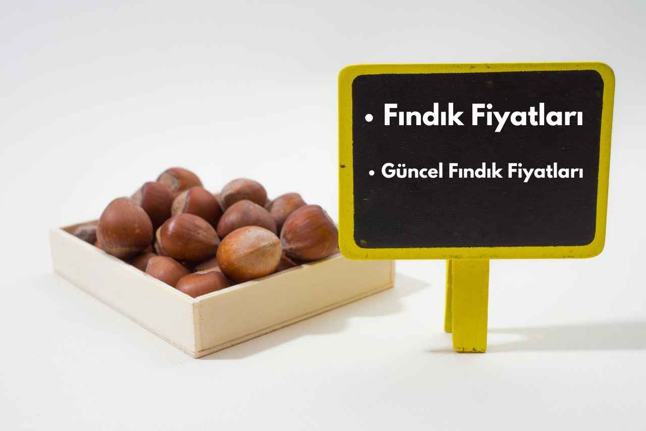 Fındık fiyatları